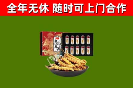 石台县烟酒回收冬虫夏草礼盒.jpg