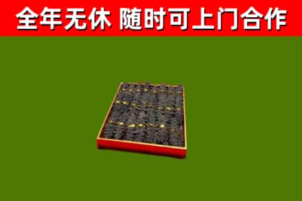 石台县回收海参